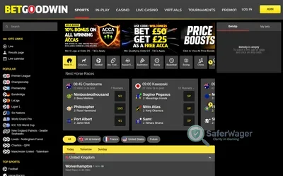 BetGoodwin screenshot