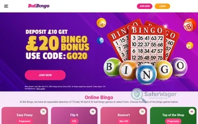 Bidbingo screenshot