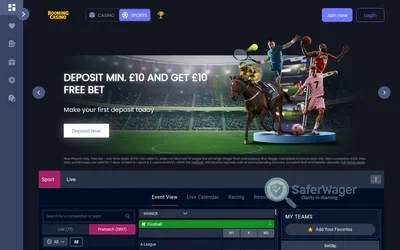 Booming Casino website