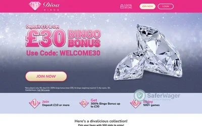 Diva Bingo screenshot