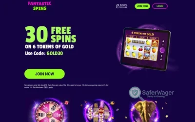 Fantastic Spins screenshot