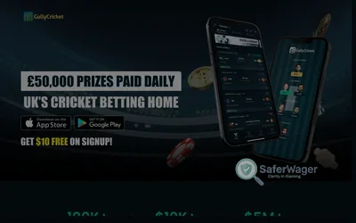 GullyCricket screenshot