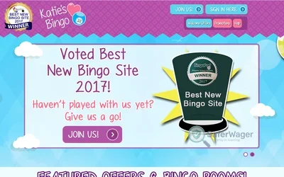 Katie's Bingo screenshot