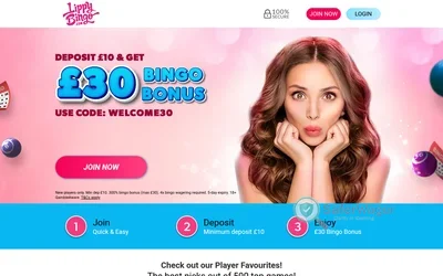 Lippy Bingo screenshot