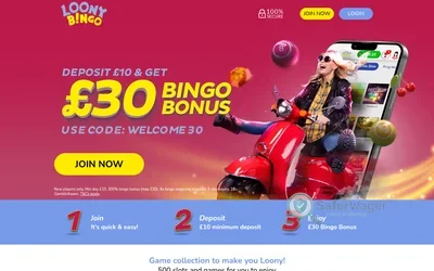 Loony Bingo screenshot