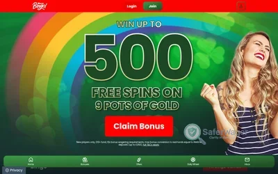 Mirror Bingo screenshot