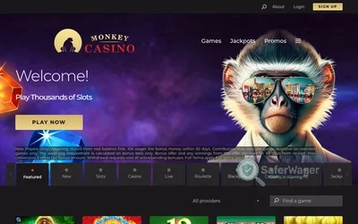 Monkey Casino screenshot