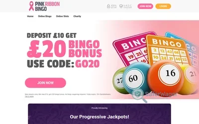 Pink Ribbon Bingo screenshot