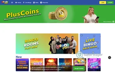 Play Bingo Plus screenshot