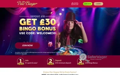 Polo Bingo screenshot