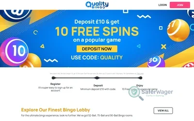 Quality Bingo screenshot