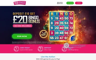 Ted Bingo screenshot