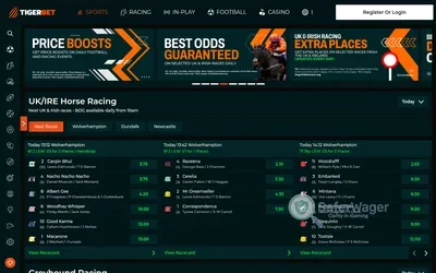TigerBet screenshot