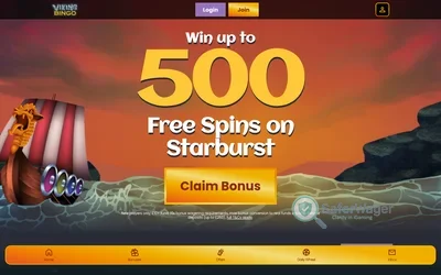 Viking Bingo screenshot