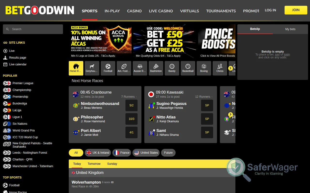 Screenshot of BetGoodwin website