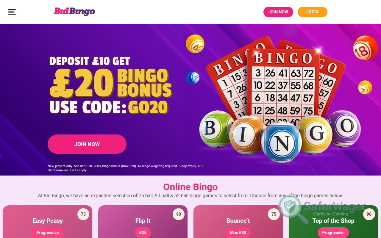Screenshot of Bidbingo website