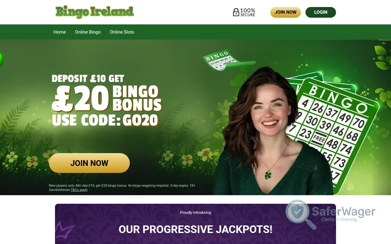Screenshot of Bingo Ireland website