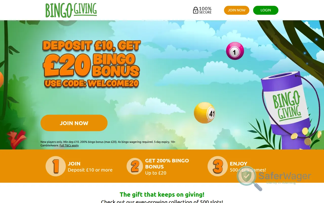 Screenshot of Bingo Giving website