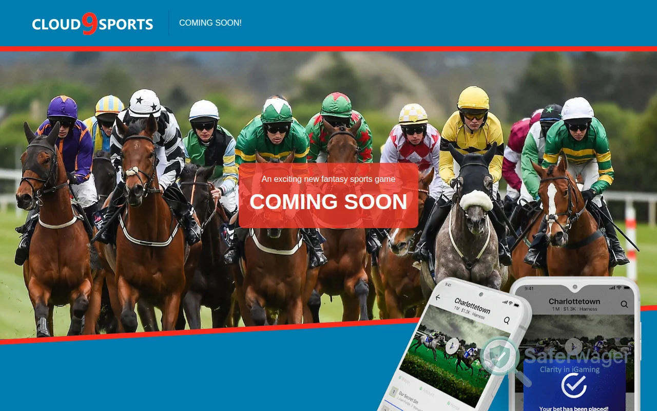 Screenshot of Cloud Nine Sports website