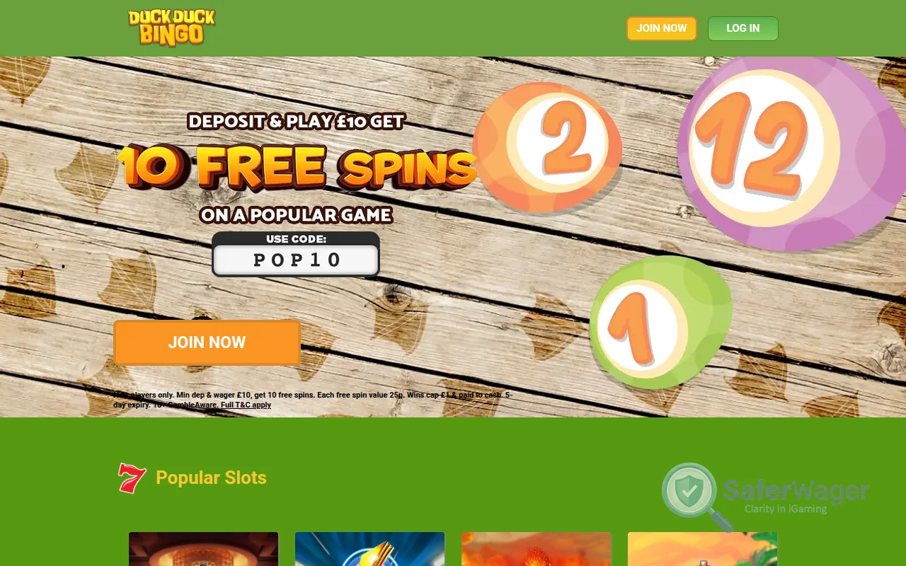 Screenshot of Duck Duck Bingo website