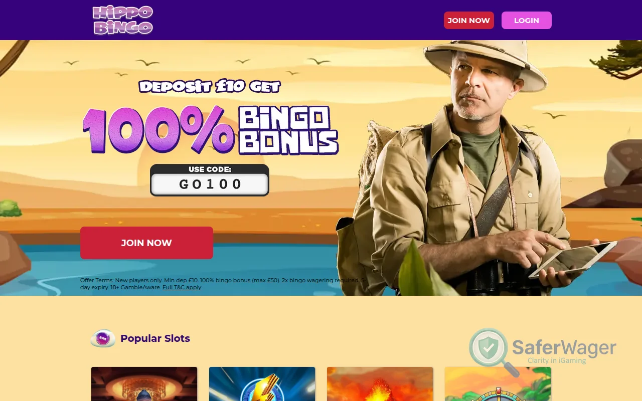 Screenshot of Hippo Bingo website