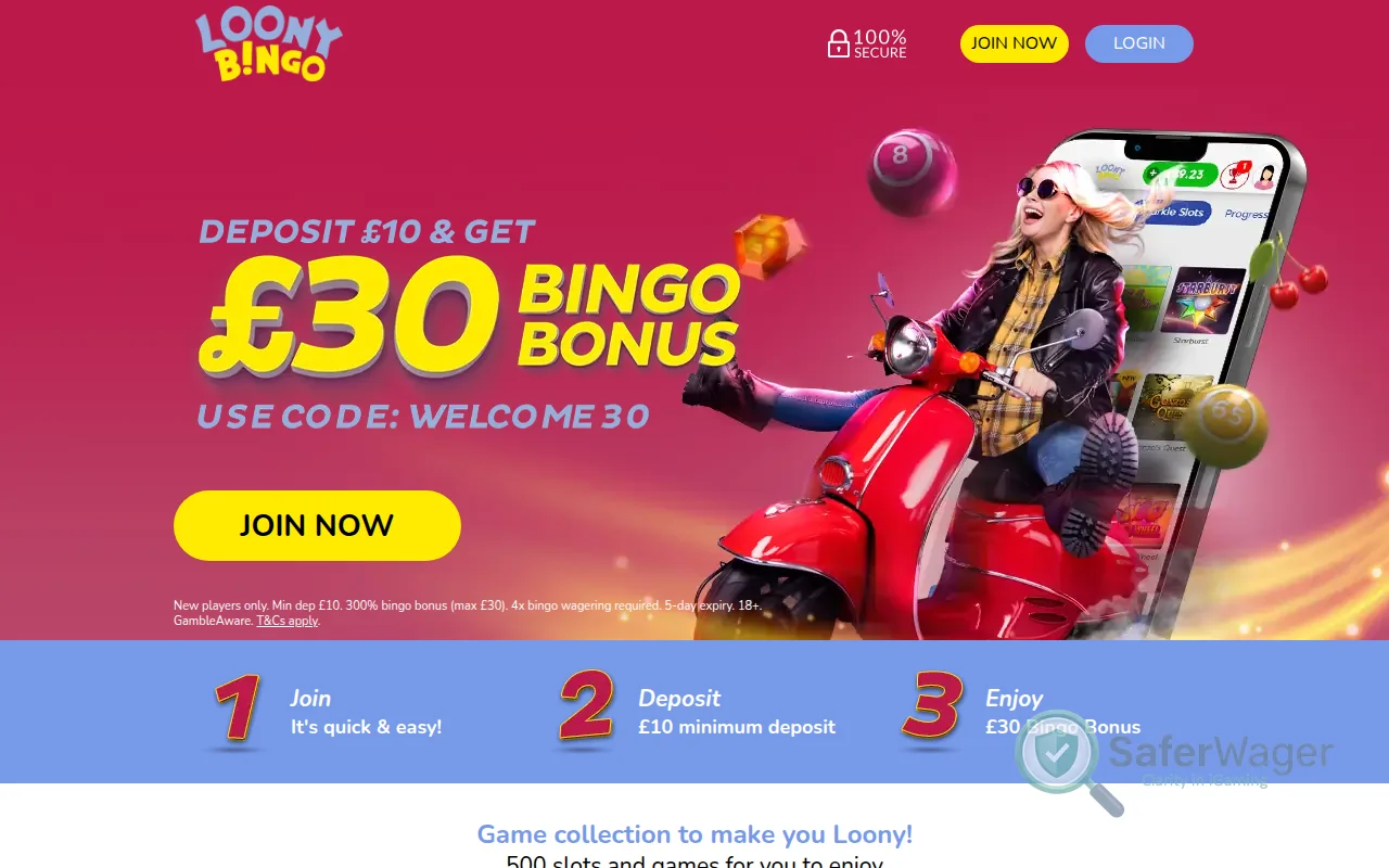 Screenshot of Loony Bingo website