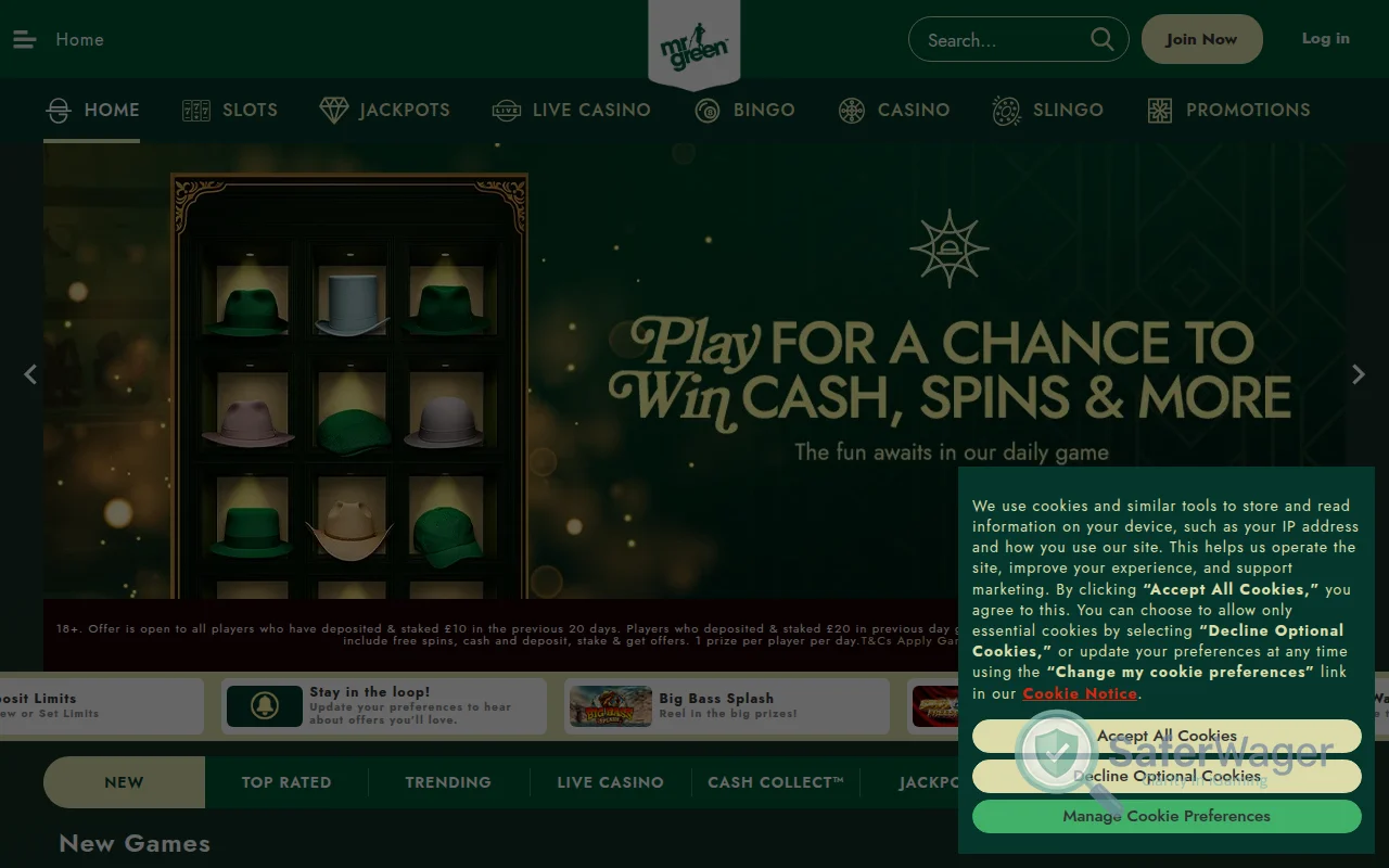 Screenshot of Mr.Green Casino website