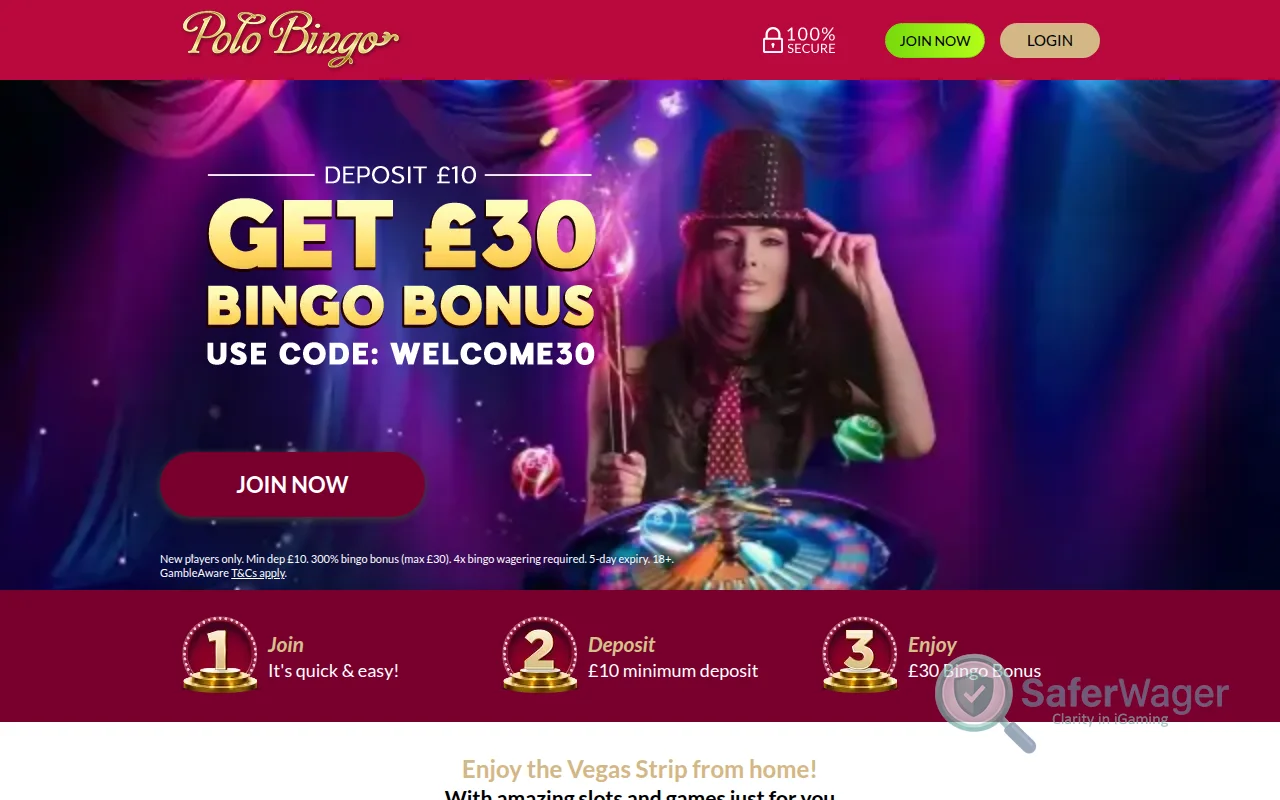 Screenshot of Polo Bingo website