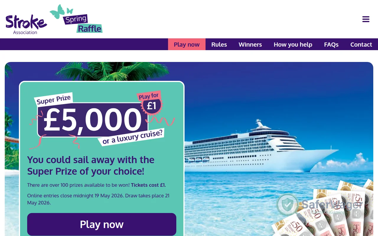 Screenshot of Stroke Association website