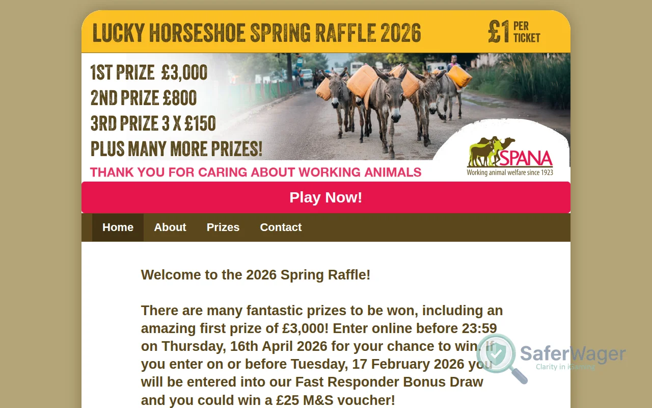 Screenshot of Spana Raffle Entry website