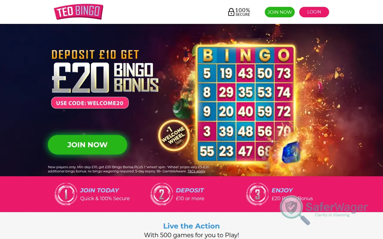 Screenshot of Ted Bingo website