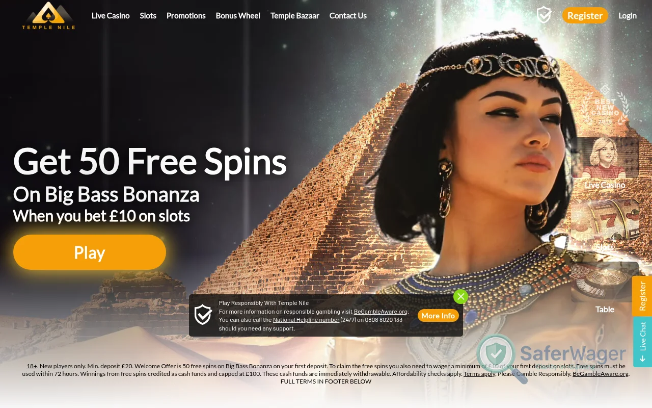 Screenshot of Temple Nile website