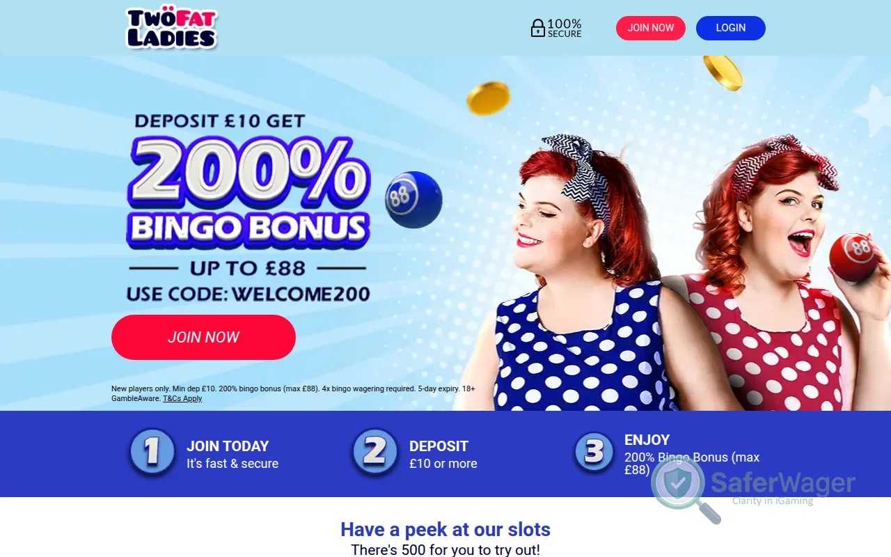 Screenshot of Two Fat Ladies website