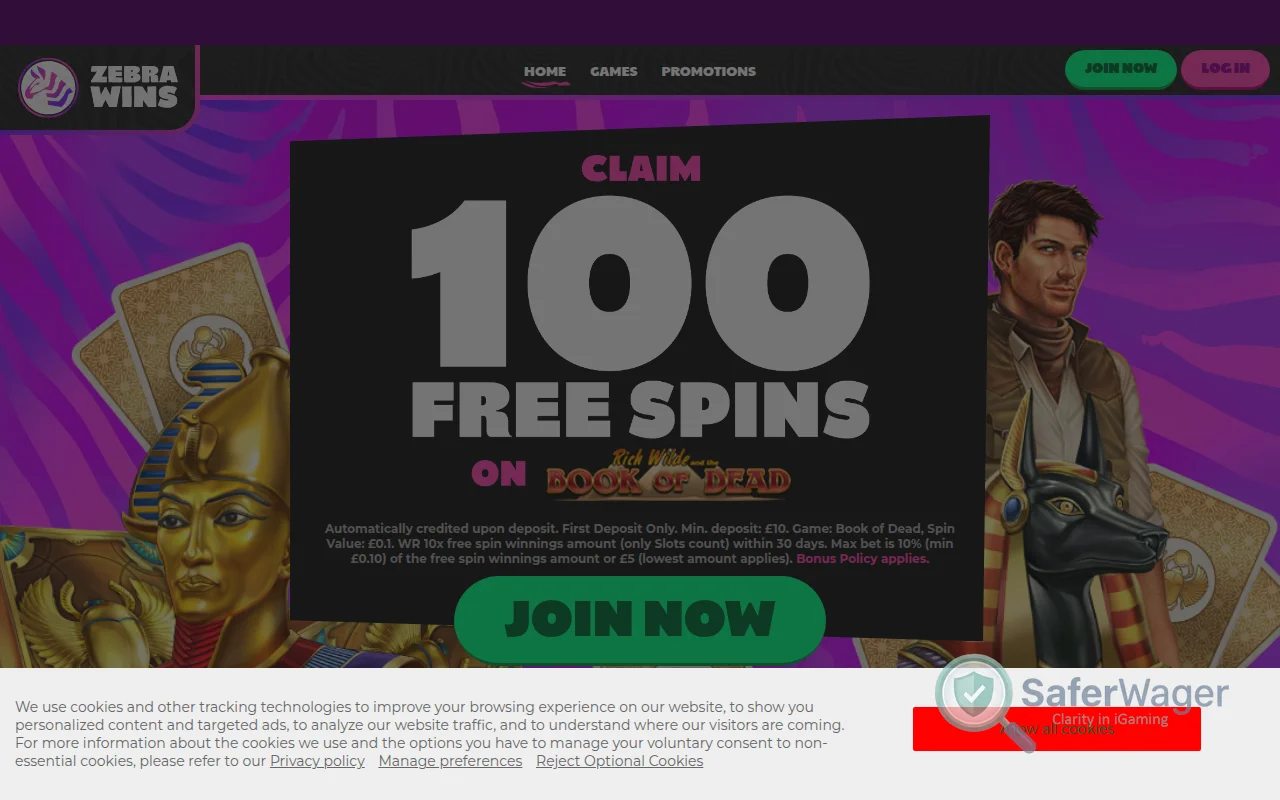 Screenshot of Zebra Wins website